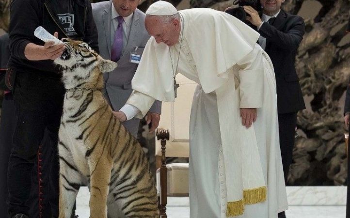 Los Papas y los animales, criaturas en el corazón de Dios y de la Iglesia