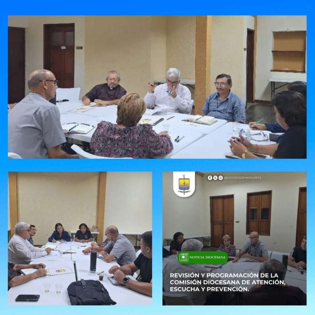 Evaluación y programación de la Comisión Diocesana de prevención en